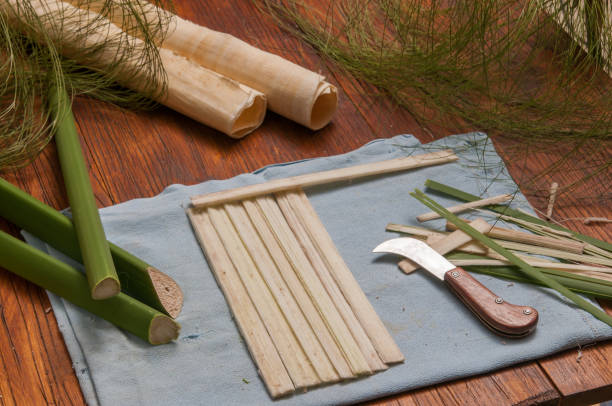 istock The making of papyrus paper 1200699219