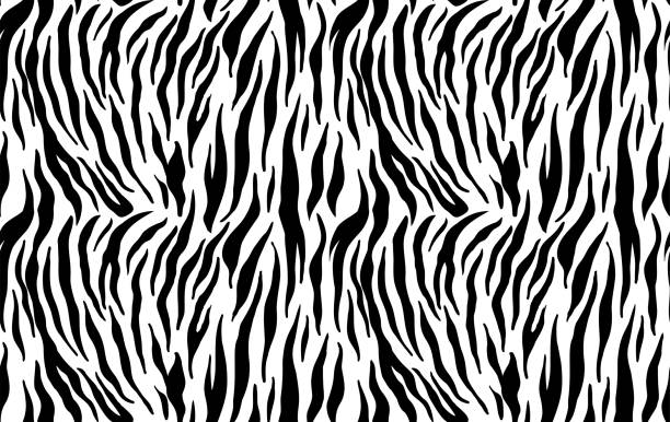 ilustrações, clipart, desenhos animados e ícones de padrão perfeito de listras de tigre, textura de pele animal, ornamento abstrato para roupas, papel de parede de safári fashion, têxtil, ilustração de tinta desenhada à mão natural, camuflagem preta e laranja, gato tropical - tiger