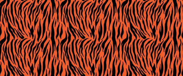 Vector illustration of Tiger stripes seamless pattern, animal skin texture, abstract ornament for clothing, fashion safari wallpaper, textile, natural hand drawn ink illustration, black and orange camouflage, tropical cat
