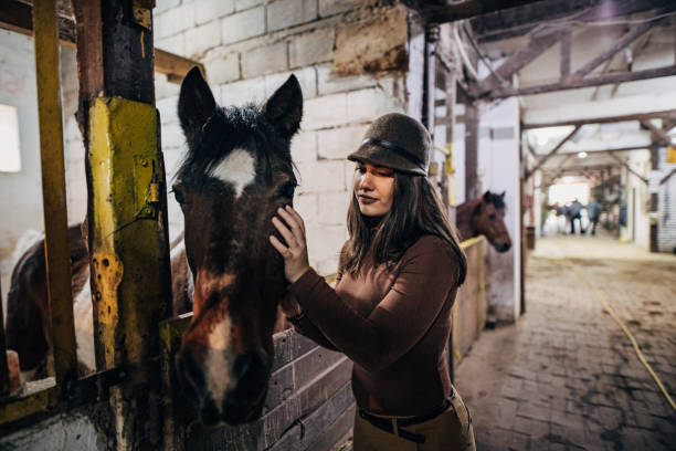 istock Pretty young jockey in barn 1200701528