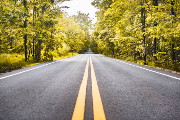 istock asphalt road with yellow diving line and forest background 1200703603