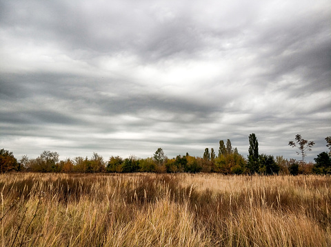 Minimalistic landscape with brown dry grass and dramatic storm clouds