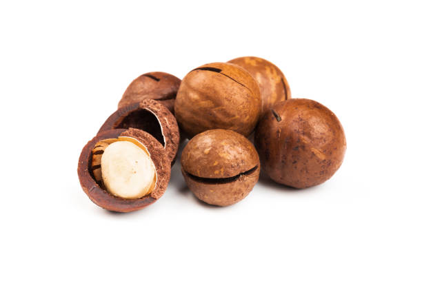 istock Shelled and unshelled macadamia nuts on white background 1200705294
