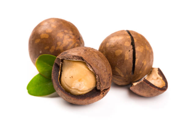 istock Inshell macadamia nuts with leaves isolated on white background. 1200705403