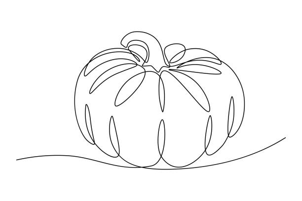 Pumpkin Pumpkin in continuous line art drawing style. Minimalist black line sketch isolated on white background. Vector illustration pumpkin stock illustrations