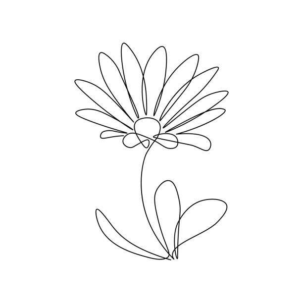 ilustraciones, imágenes clip art, dibujos animados e iconos de stock de daisy flower - beauty in nature beauty black flower head
