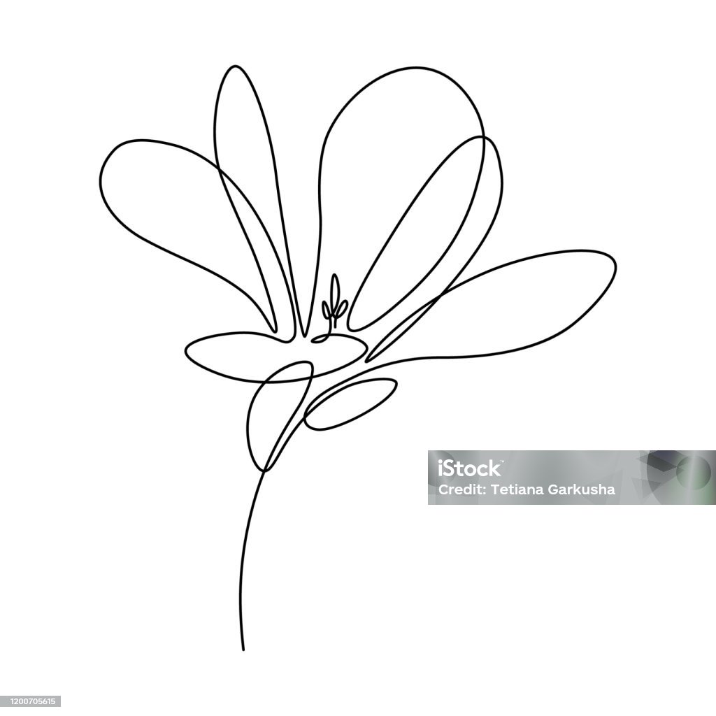 목련 꽃 꽃-식물에 대한 스톡 벡터 아트 및 기타 이미지 - 꽃-식물, 라인아트, 선 - Istock