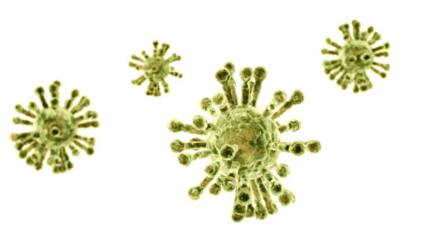 Microscopic view of Coronavirus, a pathogen that attacks the respiratory tract. Analysis and test, experimentation. Sars