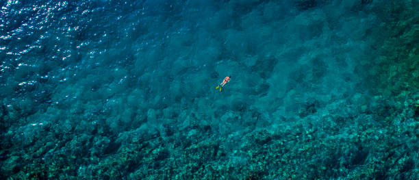 istock Snorkeling in clear turquoise sea 1200706794