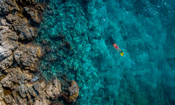 istock Snorkeling in clear turquoise sea 1200706795