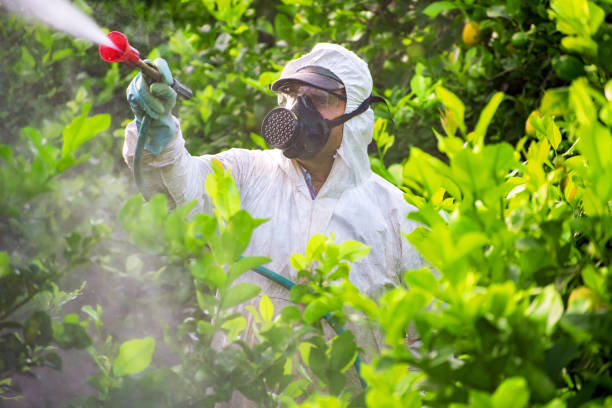 bracciante agricolo che spruzza pesticidi e insetticidi nella piantagione di limoni. - spraying agriculture farm herbicide foto e immagini stock