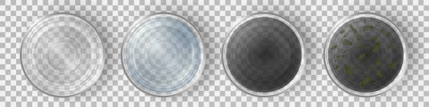 깨끗 하 고 더러운 물 상단 보기 세트 안경 - bacterium petri dish microbiology cell stock illustrations