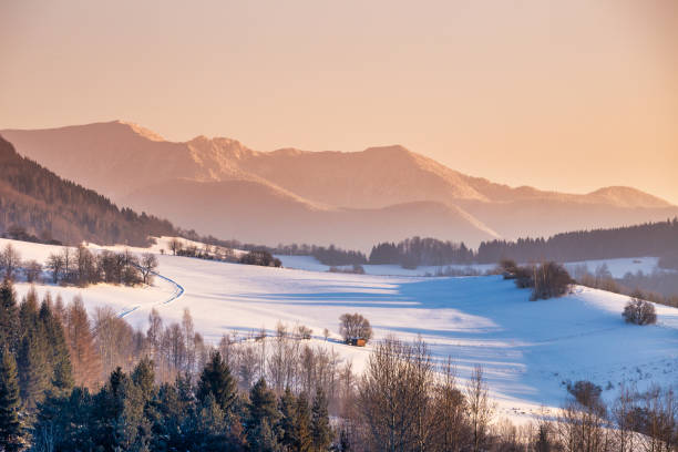 istock Snowy winter landscape with mountain range in the background. 1200713671