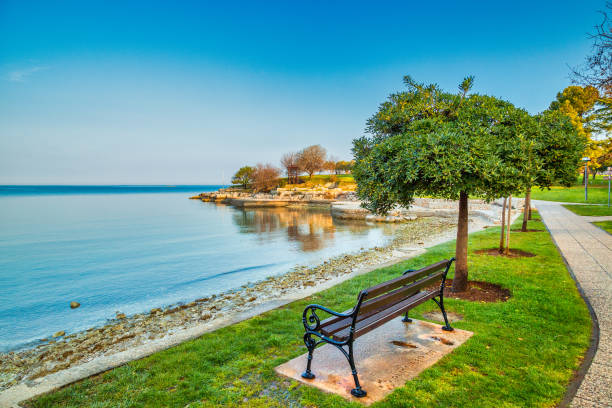 istock Green lagoon sea bay in Porec, bench at the tree in foreground. 1200713794