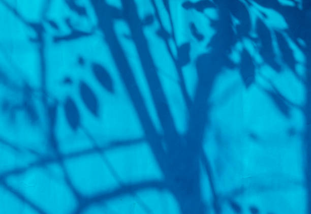 istock Leaves  shadow on the wall in classic blue pantone 1200716520