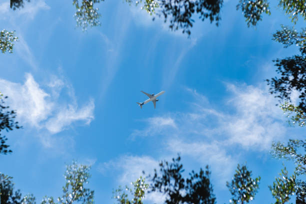 istock An air plane flying on cloudy blue sky background 1200716974