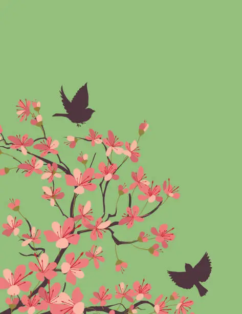 Vector illustration of Cherry Blossoms Background