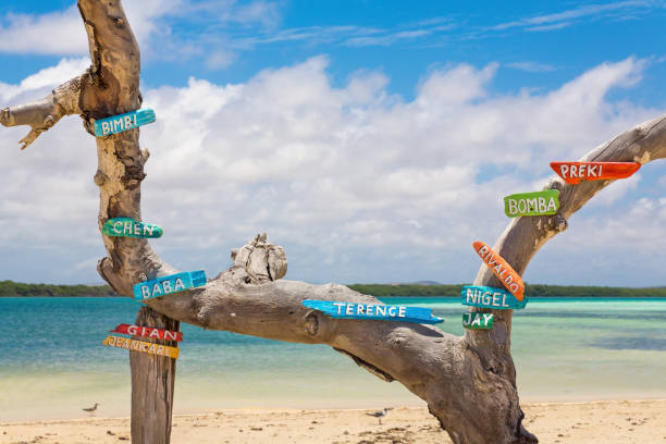 istock Tree trunk at coast with first names on signs 1200721142