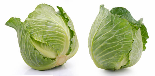 green cabbage isolated on white background - head cabbage imagens e fotografias de stock