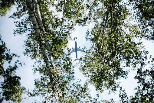 Bottom view on jet airplane flying in the sky overhead among green trees, ecology concept