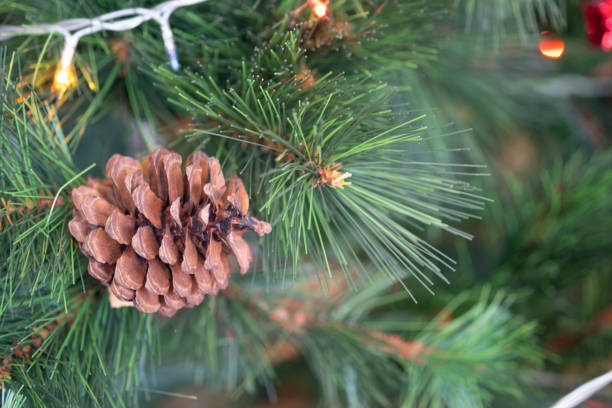 istock Pine cones hanging on Christmas tree. Christmas decoration 1200725369