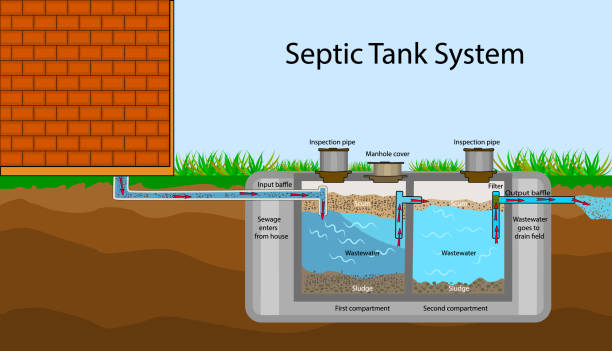 illustrazioni stock, clip art, cartoni animati e icone di tendenza di diagramma della fossa settica. sistema settico e schema del campo di scarico. - treated water