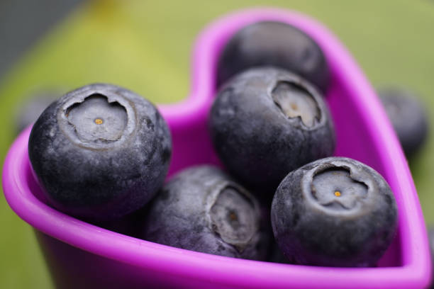 Abundance, Antioxidant, Berry, Berry Fruit, Blue