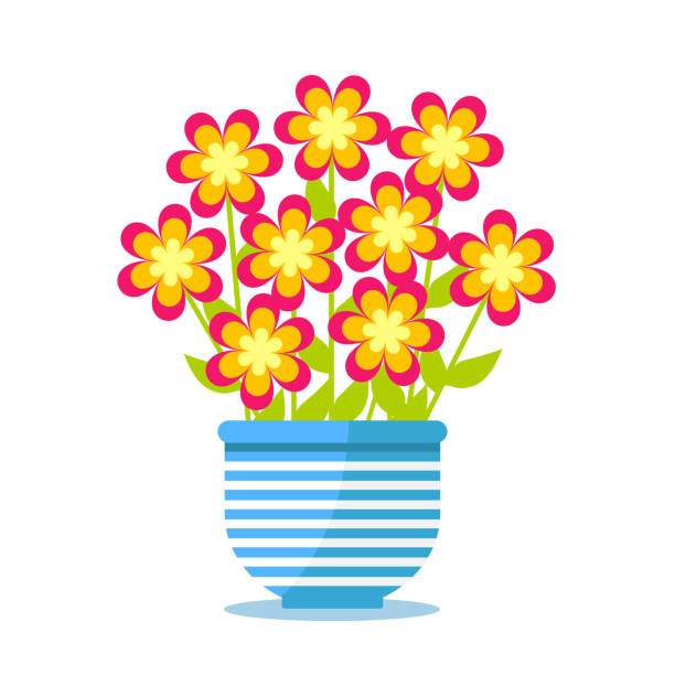 illustrations, cliparts, dessins animés et icônes de fleurs colorées de printemps dans le pot. conception plate, vecteur. - chamomile chamomile plant flower herb