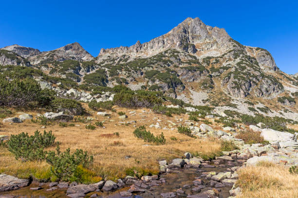 istock Small Mountain river and Dzhengal Peak, Pirin, Bulgaria 1200731294