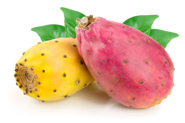 istock red end yellow prickly pear or opuntia isolated on a white background 1200731397