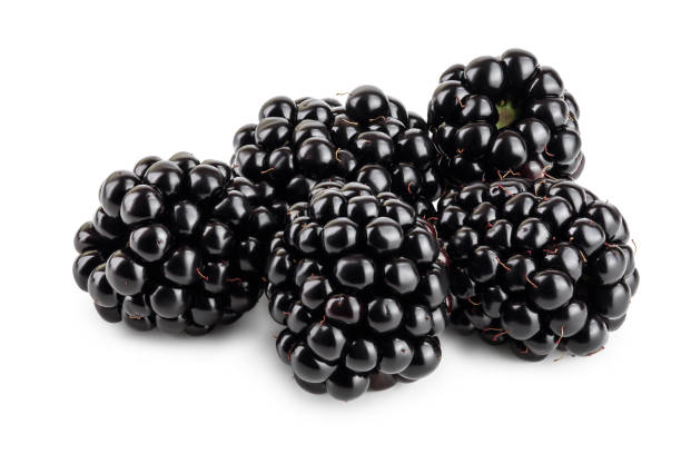 amora isolada em um close-up de fundo branco - blackberry fruit mulberry isolated - fotografias e filmes do acervo