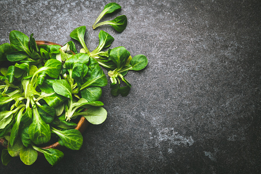 Fresh green basil leaves on a wooden board, close up view