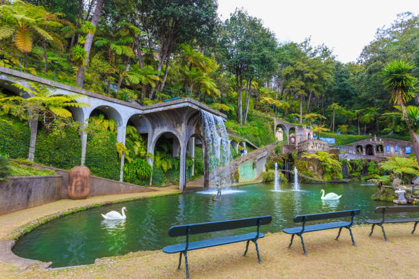 春に自然の池と新鮮な植生があるトロピカルガーデン - monte palace ストックフォトと画像