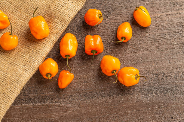 istock Fresh Habanero Peppers 1200739880