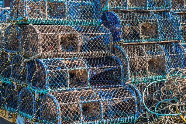 istock Crab and lobster pots 1200740380