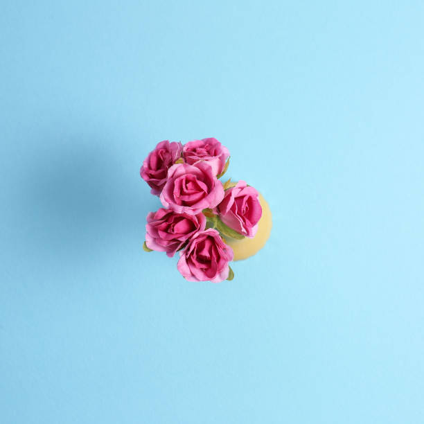 istock Pink flower bottle on blue background 1200742018