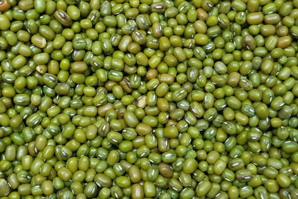 istock Green beans or fresh green pea in spices texture background 1200743096