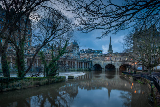 pont de pulteney avec la réflexion dans la rivière avon avec le premier plan sec d'arbre pendant le crépuscule à bath, r-u - uk tree city bridge photos et images de collection