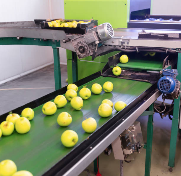 istock Fresh apples running on rolling conveyor of production line 1200745076