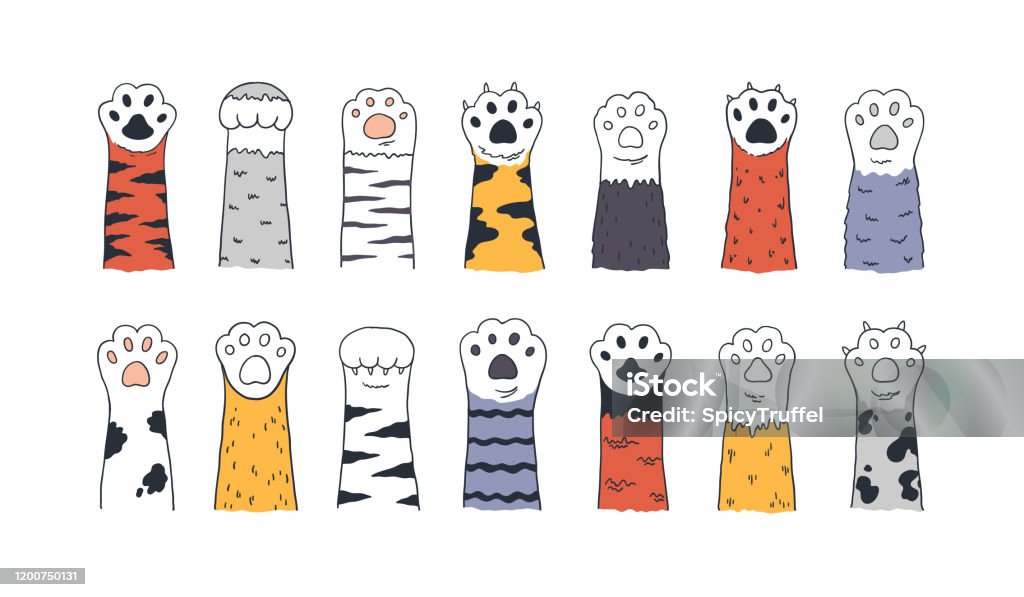 Ilustración de Patas De Gato Pata De Animal De Garabato Lindo Gatito De Dibujos Animados Y Patas De Cachorro Pies De Animales Salvajes Y Domésticos Juego De Mascotas De Gatito Vectorial Y Ilustración de Patas De Gato Pata De Animal De Garabato Lindo Gatito De Dibujos Animados Y Patas De Cachorro Pies De Animales Salvajes Y Domésticos Juego De Mascotas De Gatito Vectorial Y