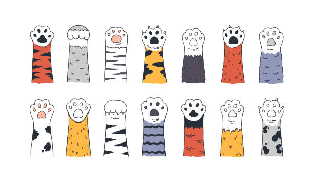 Cat paws. Doodle animal foot, cute cartoon kitten and puppy paws, wild and domestic animals foots. Vector kitty and dog pet set Cat paws. Doodle animal foot, cute cartoon kitten and puppy paws, wild and domestic animals foots. Vector drawing kitty and dog different breed pet set on white background animal shelter stock illustrations