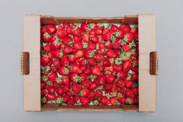 istock Red ripe strawberries in cardboard box on white background 1200752535