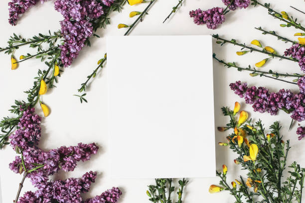 istock Spring botanical floral composition. Greeting card mockups scene. Decorative frame, banner made of purple lilac, yellow broom Cytisus flowers and branches. White table background. Flat lay, top view. 1200752926
