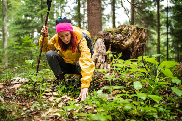 Young woman biologist  in raincoat exploring beauty of nature and looking for mushrooms