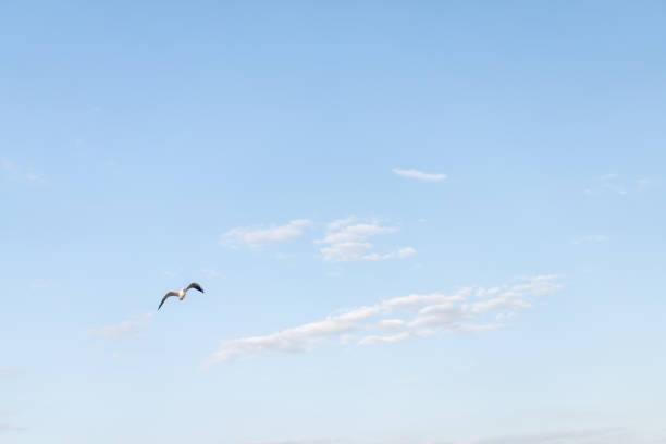 istock Blue sky with cloud. Clearing day and Good weather 1200755336