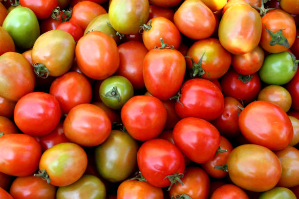 istock Lots of tomato as a background 1200755630