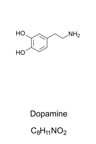 молекула допамина, скелетная формула - phenethylamine stock illustrations