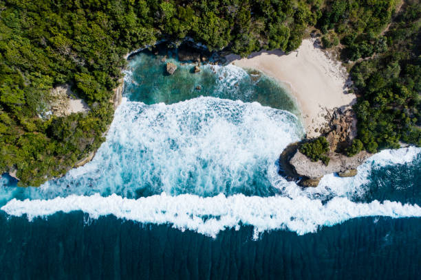 istock Aerial view of lonely beach 1200758659