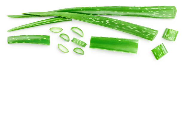 istock Aloe vera with slices isolated on white background with copy space for your text. Top view. Flat lay. 1200760345