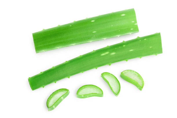 istock Aloe vera sliced isolated on white background. Top view. Flat lay. 1200760348